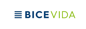 bice vida